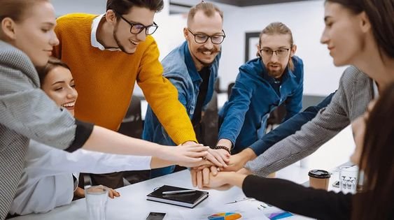 About Rabbit Soft Solutions IT Training and Software Development Company